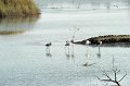 21.10.2012 Saline di Priolo (117)